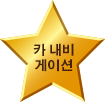 카 내비게이션