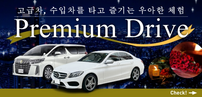 Premium Drive