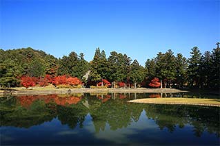 히라이즈미초