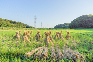 요츠카이도시