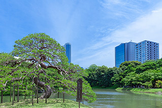 오차노미즈・유시마・쿠단・코라쿠엔