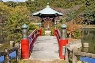 세토시