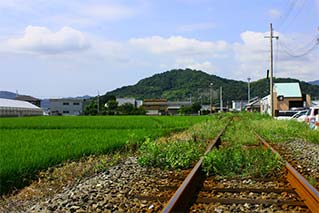 고보시