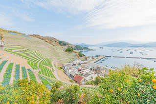 아이치 서부 (우와지마, 난요)