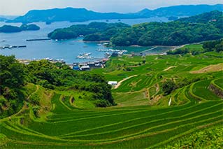 카라츠시