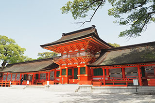 오오이타 북서부 (히타, 나카츠, 쿠니사키)