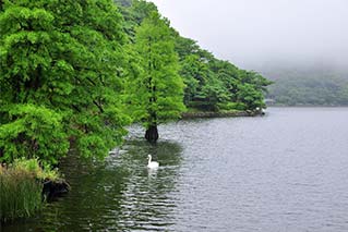 사츠마센다이시