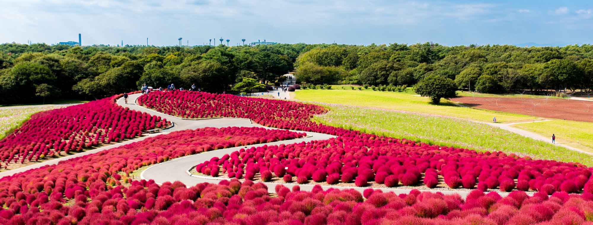 背景