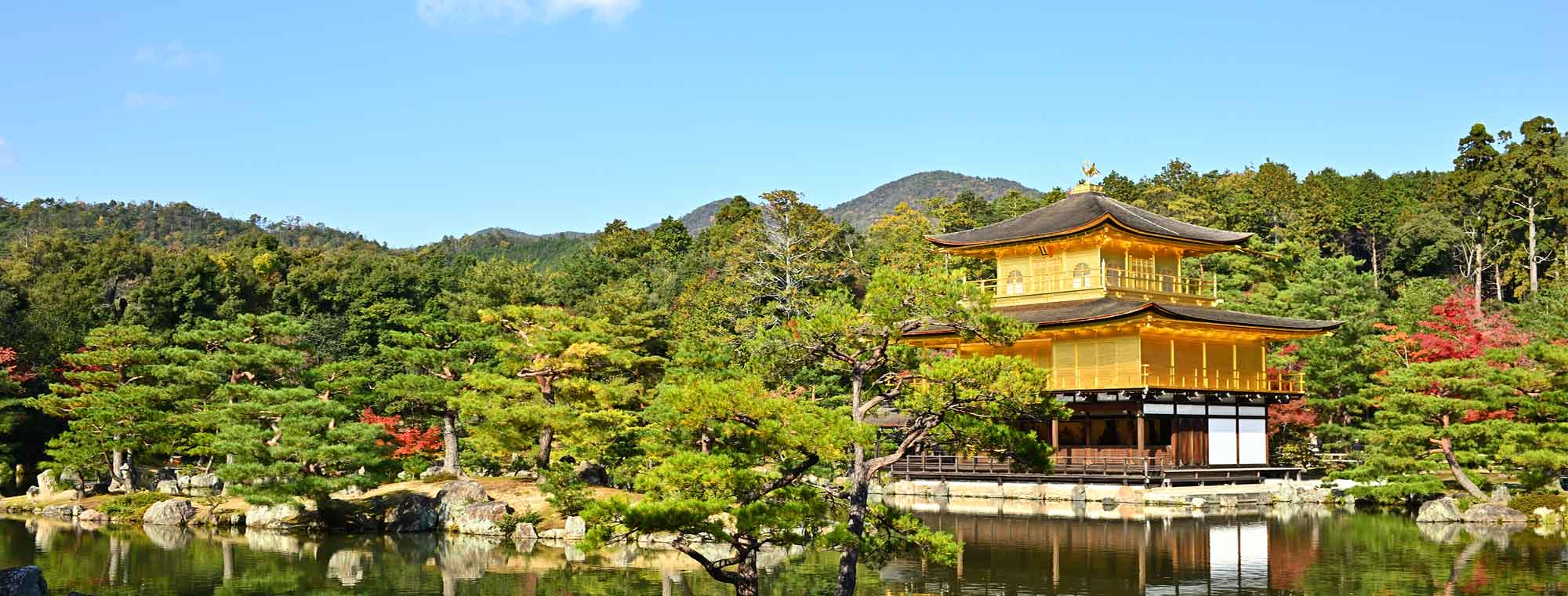背景