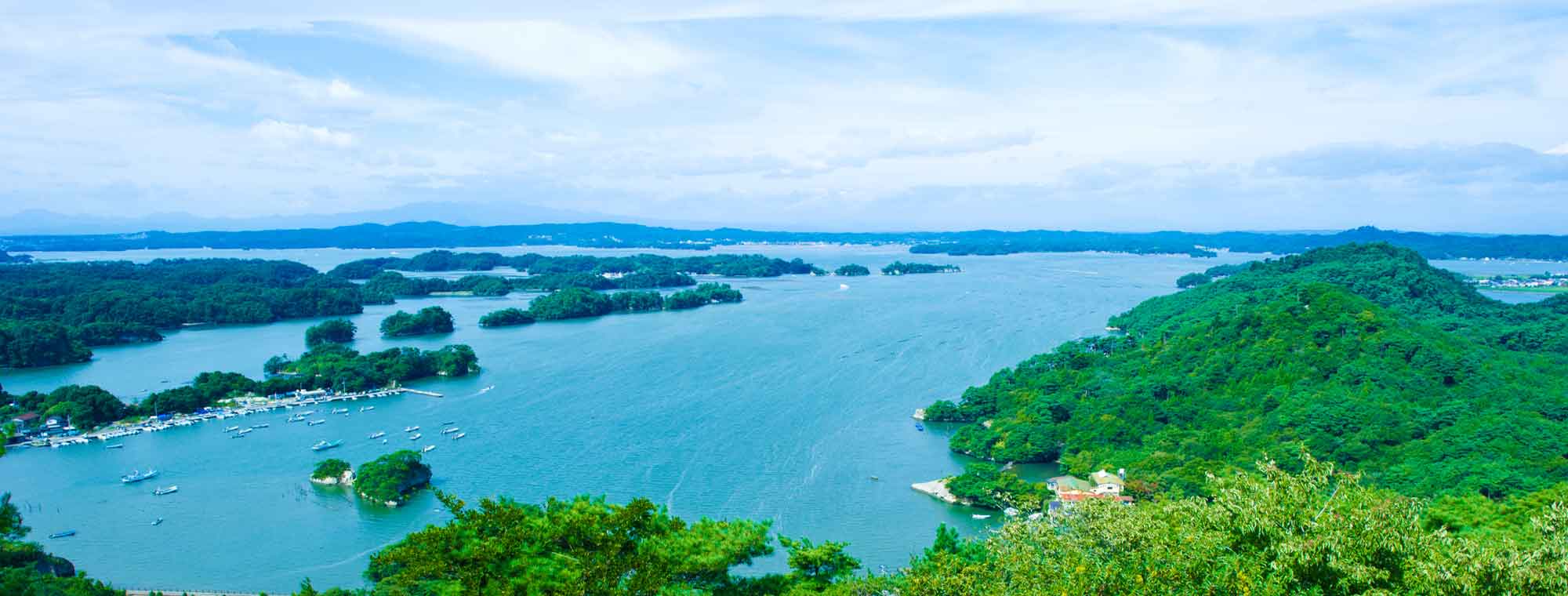 背景