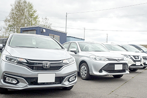 자동차 메이커, 차종을 중요시하는 분께 추천!