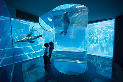 円柱水槽と水槽を眺める人