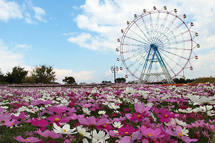 海の中道海浜公園