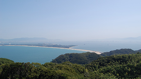 海の中道へシーサイドドライブ ～海の幸や温泉も見逃せない～