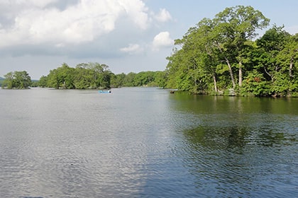 大沼遊船から見える景色