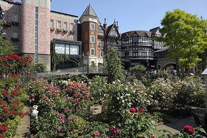 白い恋人の製造工程を見学できるファクトリーウォーク