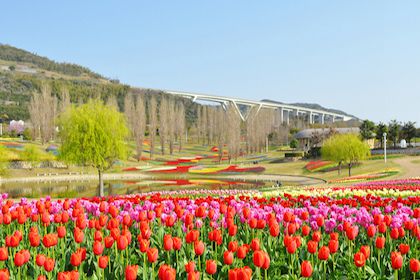 国営明石海峡公園