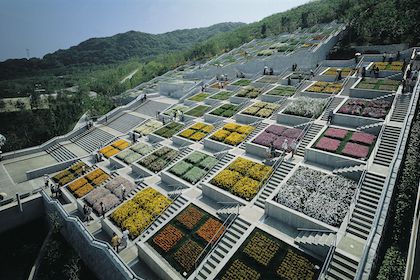 階段状に造られた花壇