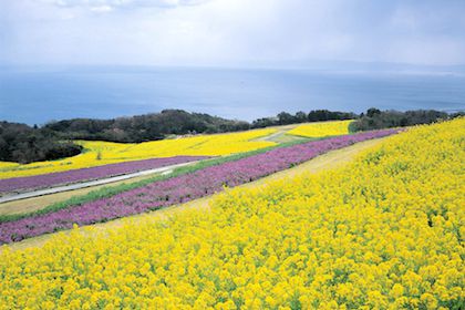 あわじ花さじき