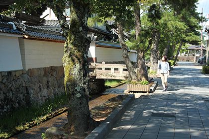 通り沿いを歩く女性