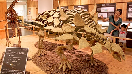 丹波の花と紅葉を訪ねる