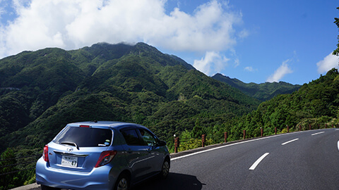 屋久島ぐるっと一周ドライブ～寄り道しながら世界遺産の島の自然に触れる～