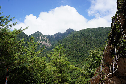 西部林道から見える国割岳