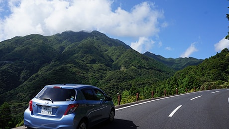 屋久島ぐるっと一周ドライブ ～寄り道しながら世界遺産の島の自然に触れる～