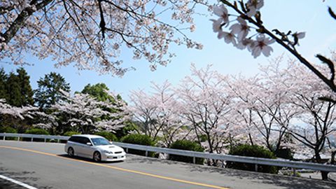 嵐山-高雄パークウエイから茅葺きの里へ