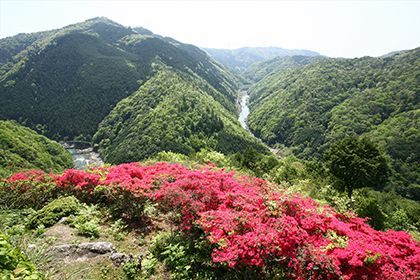 嵐山-高雄パークウエイ