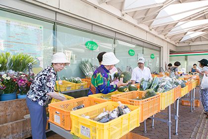 道の駅 ガレリアかめおか
