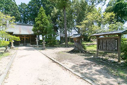 青山神社と道