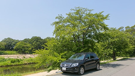 上賀茂神社や植物園、京都のど真ん中で自然を満喫～山紫水明の京都を味わい尽くす～