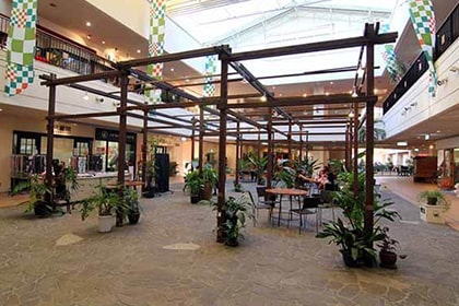 観葉植物の置いてある休憩所