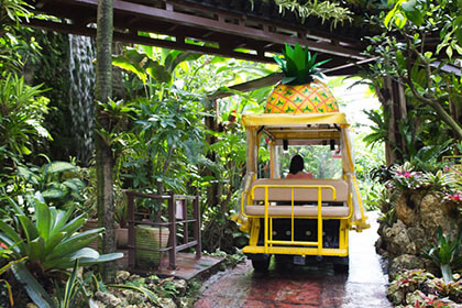 ナゴパイナップルパークのパイナップル号