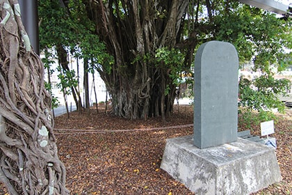 ひんぷんガジュマルと記念碑