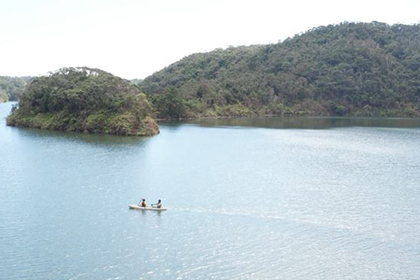 Yambaru Blue(ヤンバルブルー)