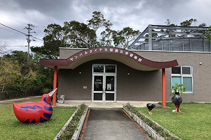 安田くいなふれあい公園