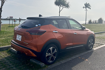 ガジュマルに触る男女