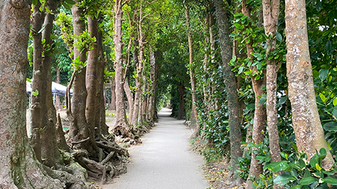 2度目の沖縄はちょっとディープに！～車で渡れる離島めぐりで奥深い沖縄に出会う～