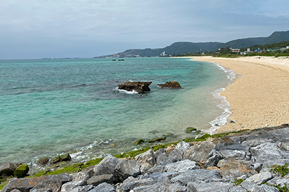 Yambaru Blue(ヤンバルブルー)