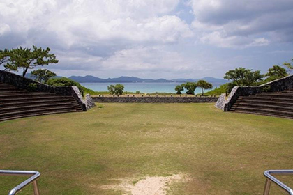 亜熱帯の植物の様子