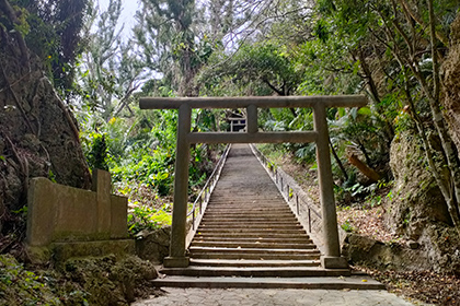 Yambaru Blue(ヤンバルブルー)