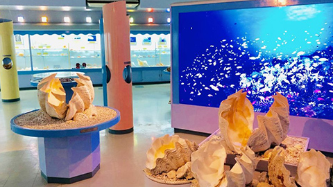 青が重なる池間ブルーと海中を眺める