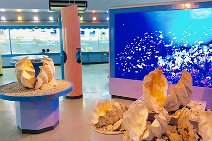 宮古島 海宝館（かいほうかん）アソビタウン