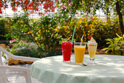 ユートピアファーム宮古島