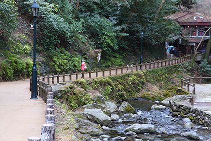 箕面大滝に続く｢滝道｣