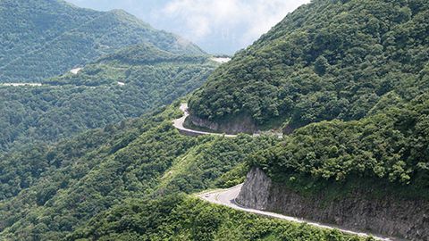 関西屈指の人気ドライブコースで山上の花畑へ