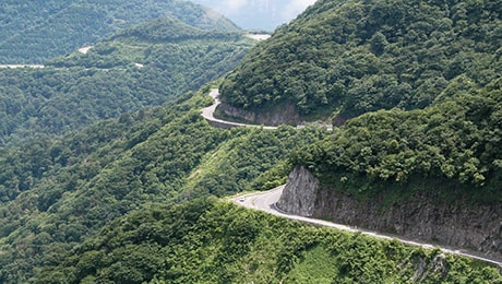 関西屈指の人気ドライブコースで山上の花畑へ