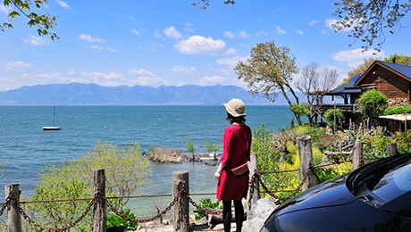 琵琶湖沿いを北上し、湖北の史跡を巡る
